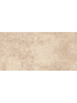 Ain Arena In/Out rec 60x120 1.kl 1,44