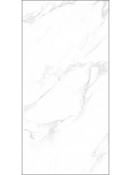 GP Smoke White 60x120 1.kl 1,44m2